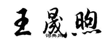 胡问遂王晟煦行书个性签名怎么写