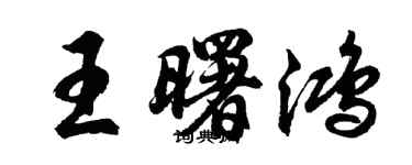 胡问遂王曙鸿行书个性签名怎么写