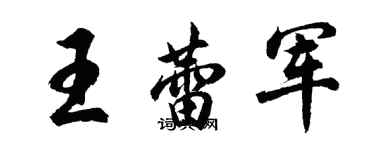 胡问遂王蕾军行书个性签名怎么写