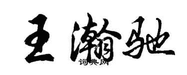 胡问遂王瀚驰行书个性签名怎么写