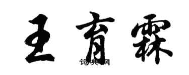 胡问遂王育霖行书个性签名怎么写