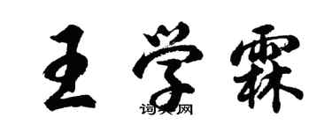 胡问遂王学霖行书个性签名怎么写