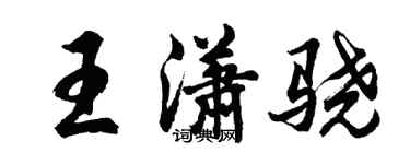 胡问遂王潇骁行书个性签名怎么写