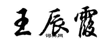 胡问遂王辰霞行书个性签名怎么写
