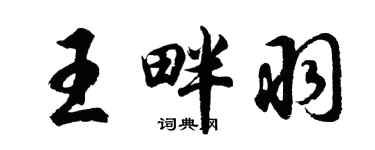 胡问遂王畔羽行书个性签名怎么写