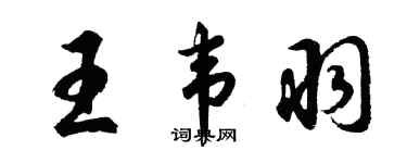 胡问遂王韦羽行书个性签名怎么写