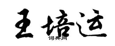 胡问遂王培运行书个性签名怎么写