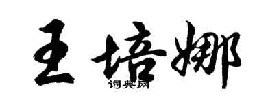 胡问遂王培娜行书个性签名怎么写