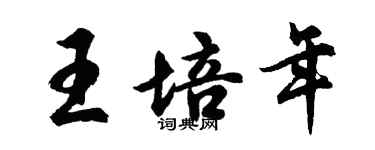 胡问遂王培年行书个性签名怎么写