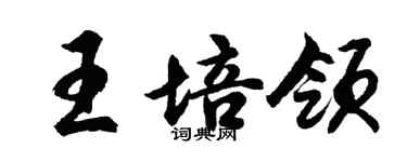 胡问遂王培领行书个性签名怎么写