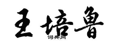 胡问遂王培鲁行书个性签名怎么写