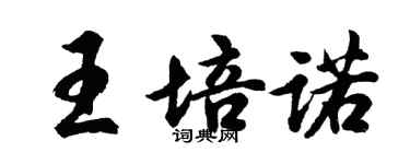 胡问遂王培诺行书个性签名怎么写