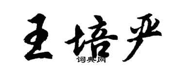 胡问遂王培严行书个性签名怎么写