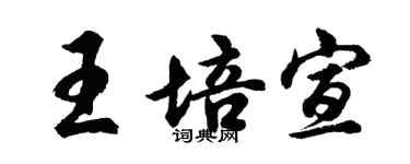 胡问遂王培宣行书个性签名怎么写