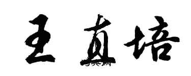 胡问遂王直培行书个性签名怎么写