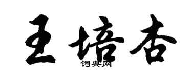 胡问遂王培杏行书个性签名怎么写