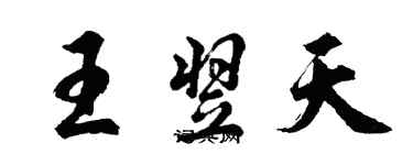 胡问遂王翌天行书个性签名怎么写