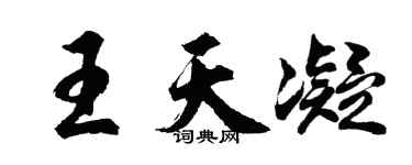 胡问遂王天凝行书个性签名怎么写