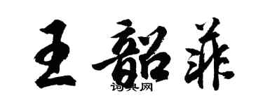 胡问遂王韶菲行书个性签名怎么写