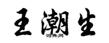 胡问遂王潮生行书个性签名怎么写