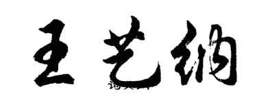 胡问遂王艺纳行书个性签名怎么写