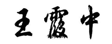 胡问遂王霞中行书个性签名怎么写