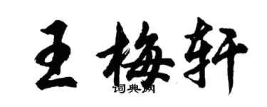 胡问遂王梅轩行书个性签名怎么写