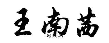 胡问遂王南茜行书个性签名怎么写