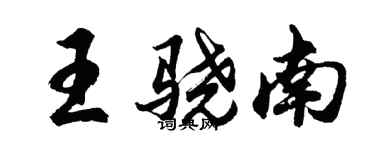 胡问遂王骁南行书个性签名怎么写