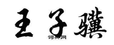 胡问遂王子骥行书个性签名怎么写