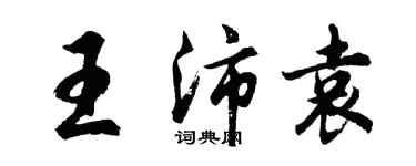 胡问遂王沛袁行书个性签名怎么写