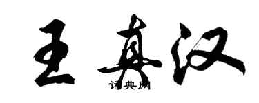胡问遂王真汉行书个性签名怎么写