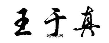 胡问遂王于真行书个性签名怎么写