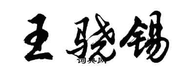 胡问遂王骁锡行书个性签名怎么写