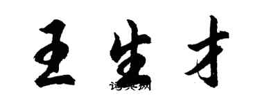 胡问遂王生才行书个性签名怎么写