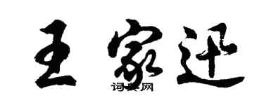 胡问遂王家迅行书个性签名怎么写