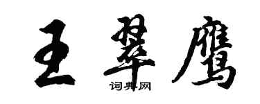 胡问遂王翠鹰行书个性签名怎么写