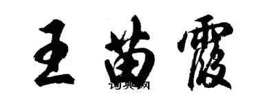 胡问遂王苗霞行书个性签名怎么写