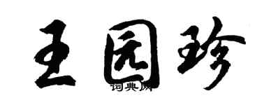 胡问遂王园珍行书个性签名怎么写