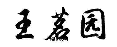 胡问遂王茗园行书个性签名怎么写