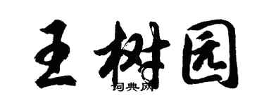 胡问遂王树园行书个性签名怎么写