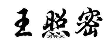 胡问遂王照密行书个性签名怎么写