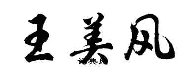 胡问遂王美风行书个性签名怎么写