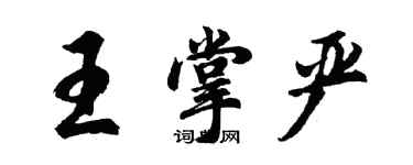 胡问遂王掌严行书个性签名怎么写