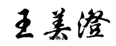 胡问遂王美澄行书个性签名怎么写
