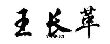 胡问遂王长革行书个性签名怎么写