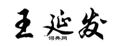 胡问遂王延发行书个性签名怎么写