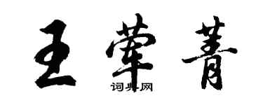 胡问遂王荤菁行书个性签名怎么写