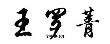 胡问遂王罗菁行书个性签名怎么写