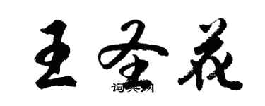 胡问遂王圣花行书个性签名怎么写